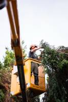 Capucine MOREL - CAPUCINE MOREL