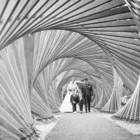 Nicolas BRUNEL - BRUNEL